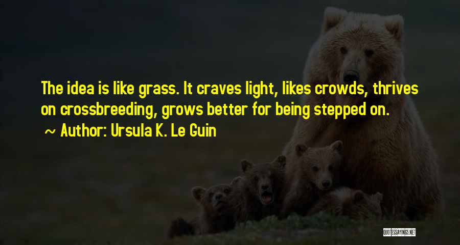 Being Stepped On Quotes By Ursula K. Le Guin