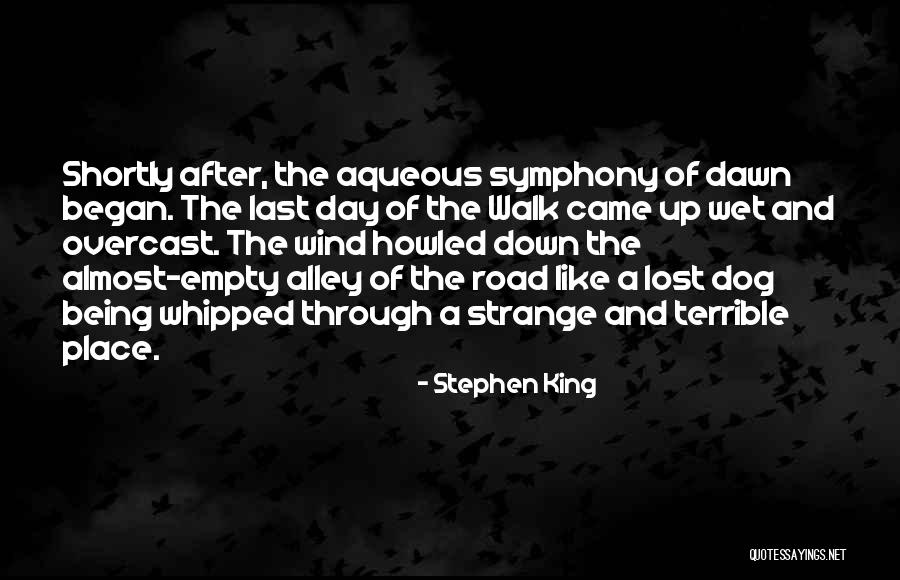 Being Strange Quotes By Stephen King Being Strange Quotes By Stephen King