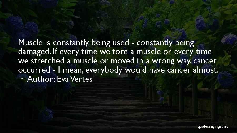 Being Stretched Quotes By Eva Vertes