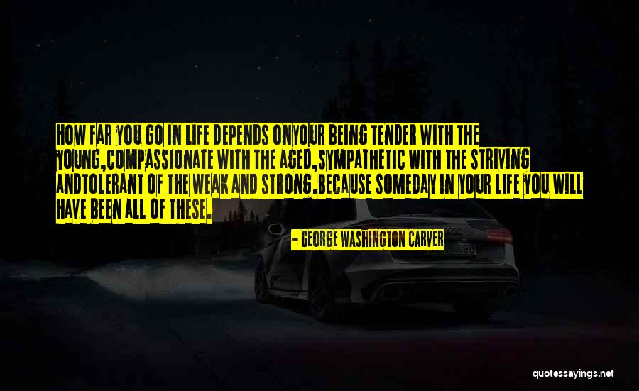Being Strong But Weak Quotes By George Washington Carver Being Strong But Weak Quotes By George Washington Carver