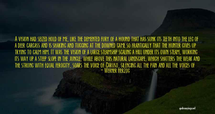 Being Strong But Weak Quotes By Werner Herzog Being Strong But Weak Quotes By Werner Herzog