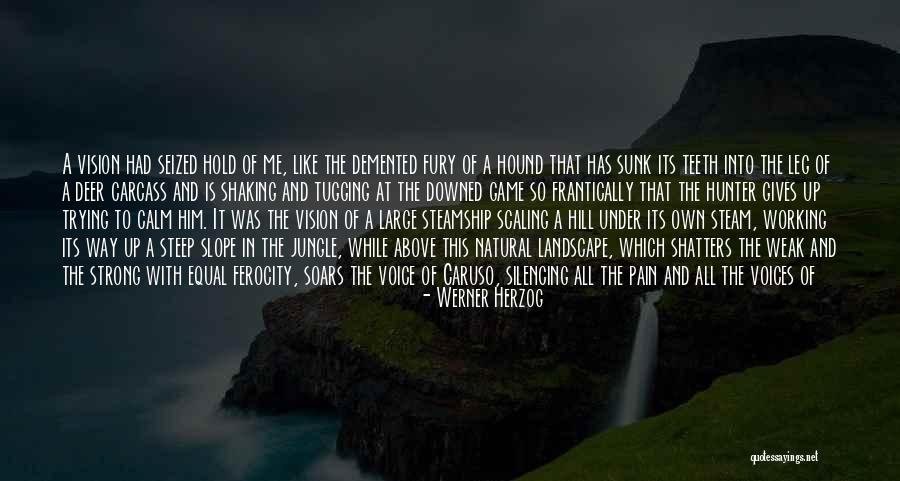 Being Strong In Pain Quotes By Werner Herzog