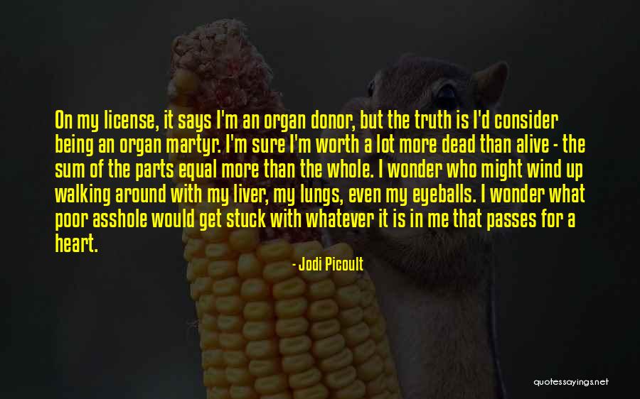 Being Stuck Quotes By Jodi Picoult Being Stuck Quotes By Jodi Picoult