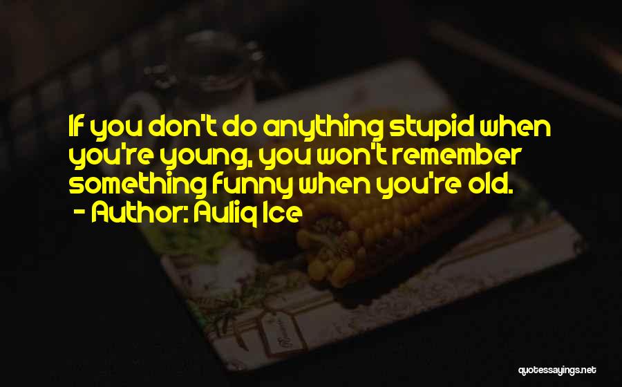 Being Stupid And Having Fun Quotes By Auliq Ice