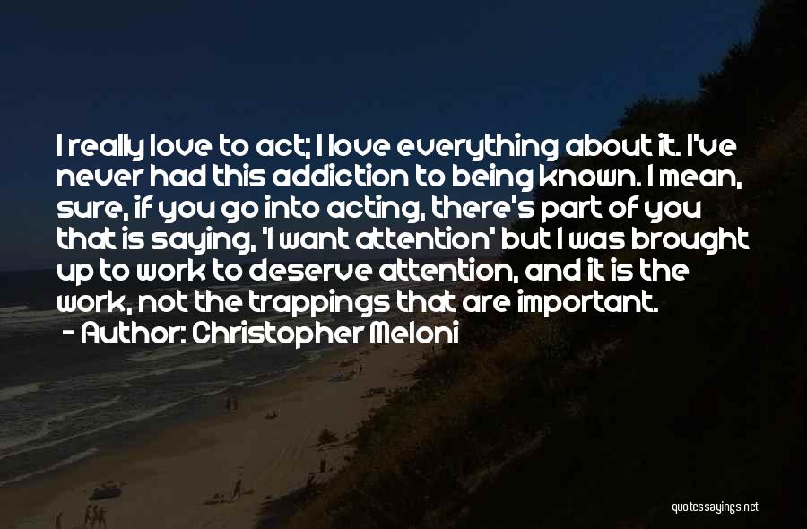 Being Sure About Love Quotes By Christopher Meloni