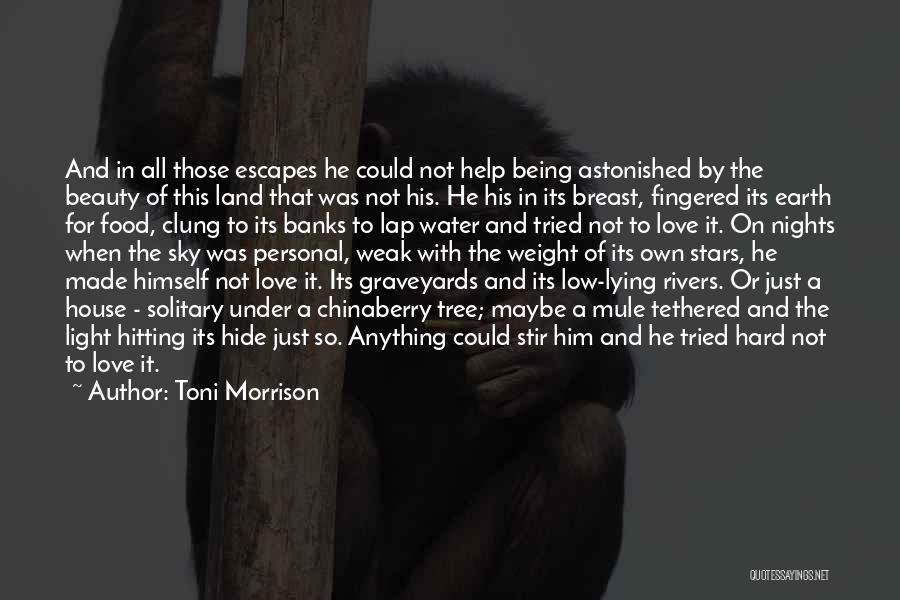 Being Tethered Quotes By Toni Morrison