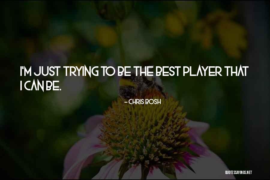 Being The Best I Can Be Quotes By Chris Bosh Being The Best I Can Be Quotes By Chris Bosh