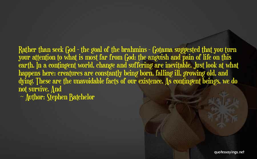 Being The Change In The World Quotes By Stephen Batchelor