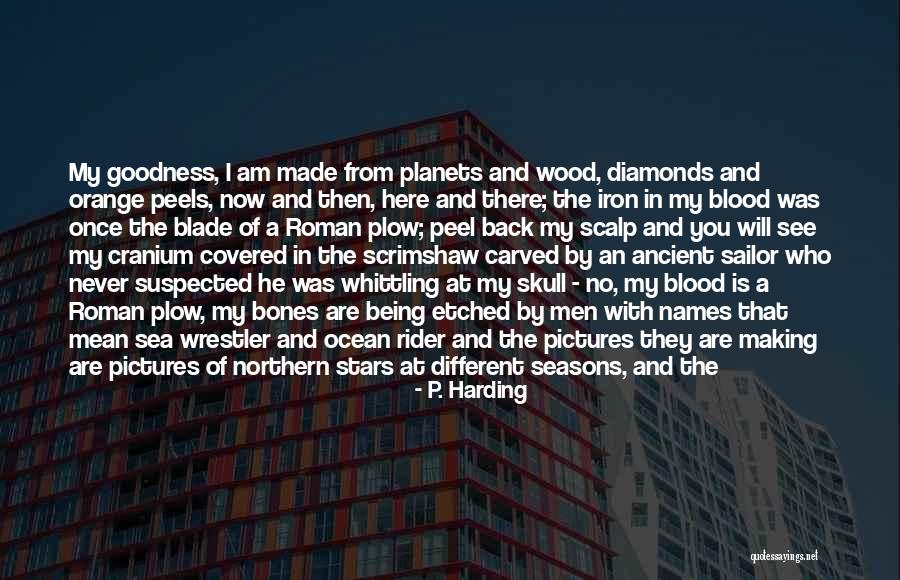Being The Common Man Quotes By P. Harding Being The Common Man Quotes By P. Harding