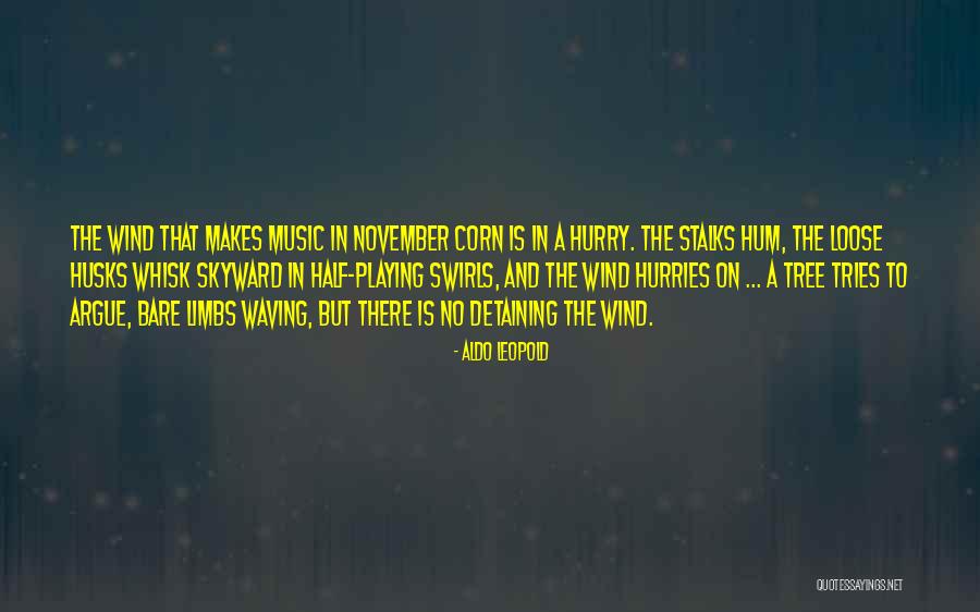 Being The Fallback Girl Quotes By Aldo Leopold Being The Fallback Girl Quotes By Aldo Leopold