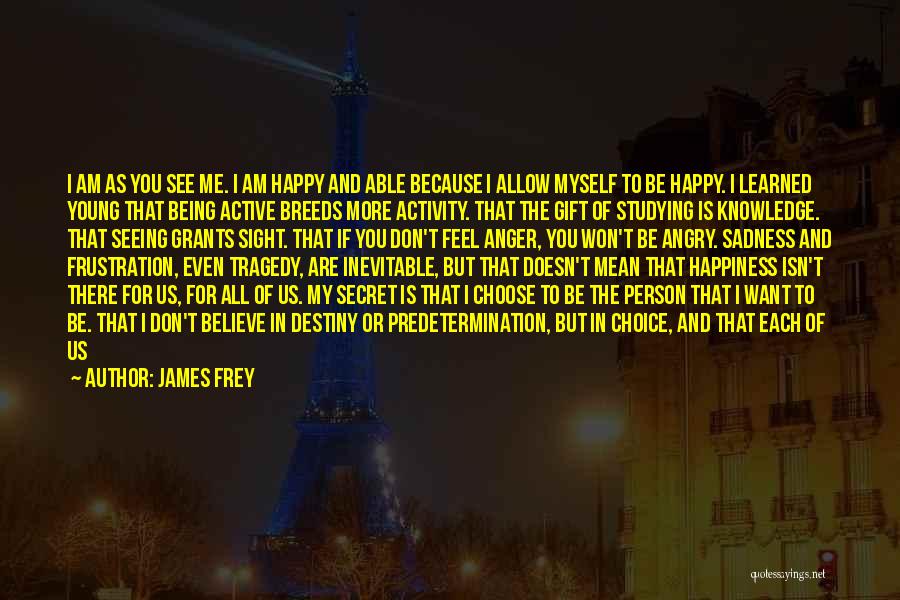 Being The Person You Want To Be Quotes By James Frey