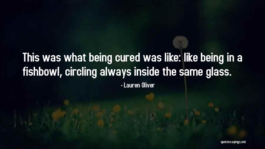 Being The Same On The Inside Quotes By Lauren Oliver Being The Same On The Inside Quotes By Lauren Oliver