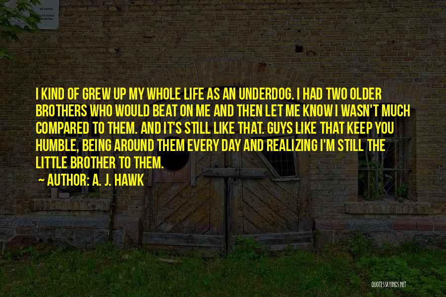 Being The Underdog Quotes By A. J. Hawk