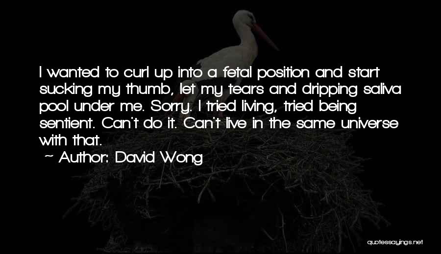 Being The Universe Quotes By David Wong