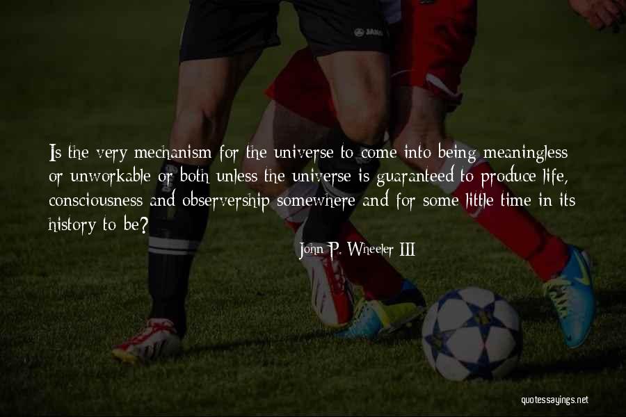 Being The Universe Quotes By John P. Wheeler III