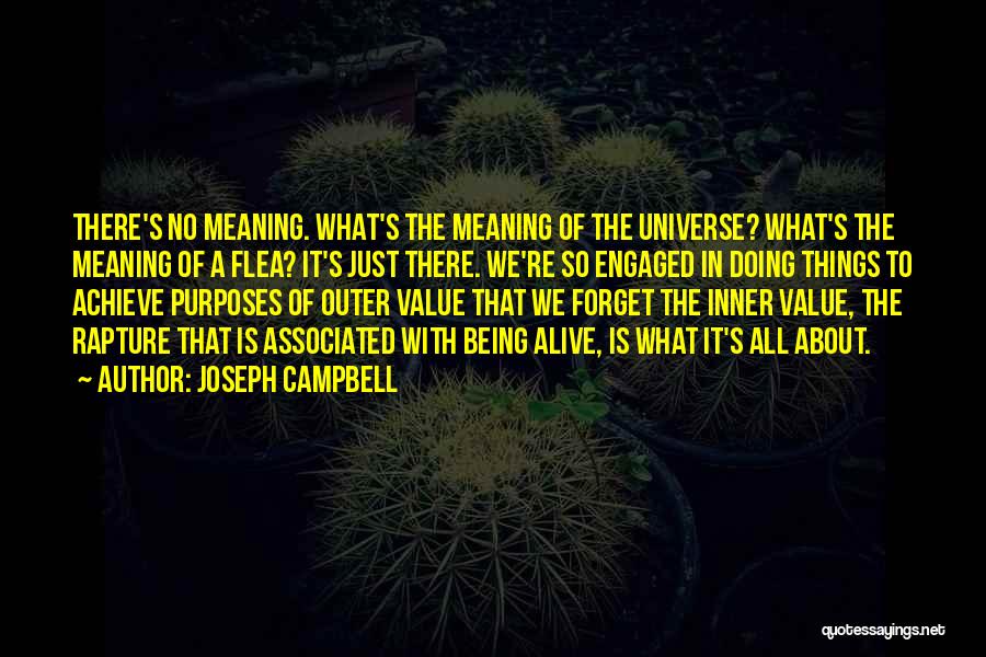 Being The Universe Quotes By Joseph Campbell