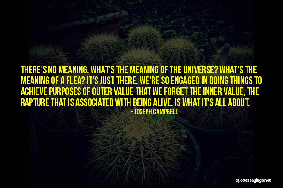 Being The Universe Quotes By Joseph Campbell