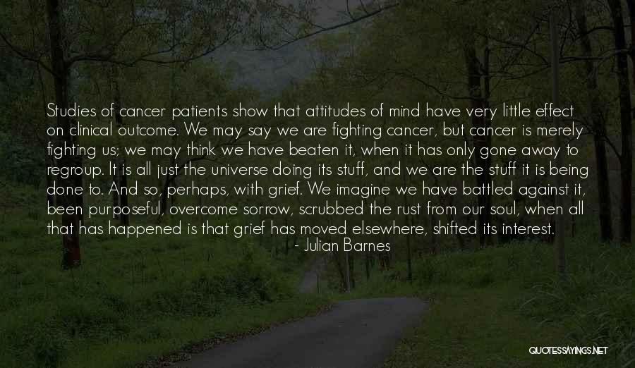Being The Universe Quotes By Julian Barnes Being The Universe Quotes By Julian Barnes