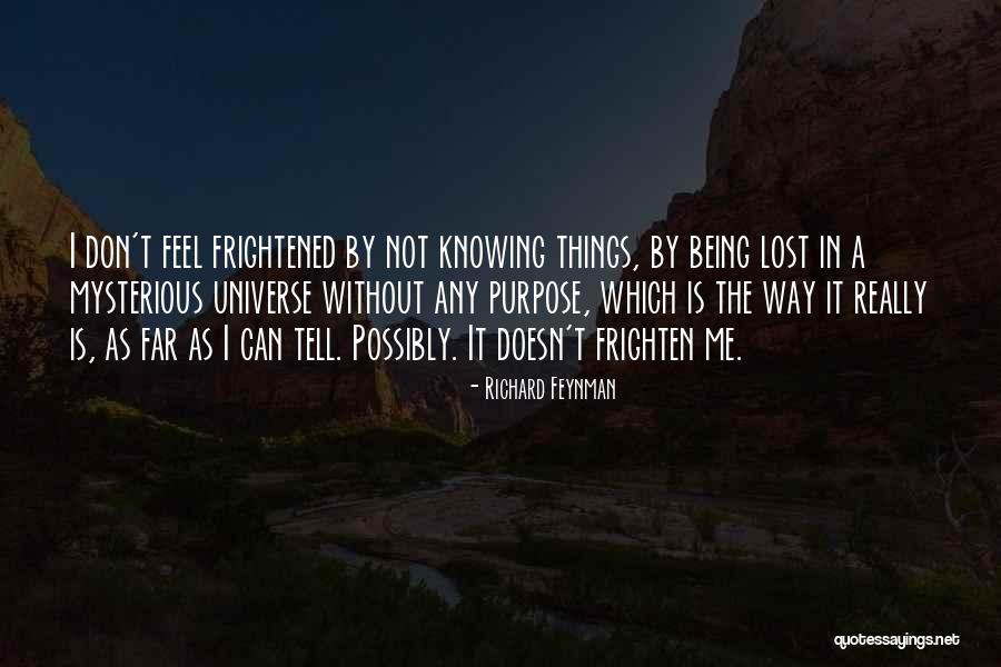 Being The Universe Quotes By Richard Feynman