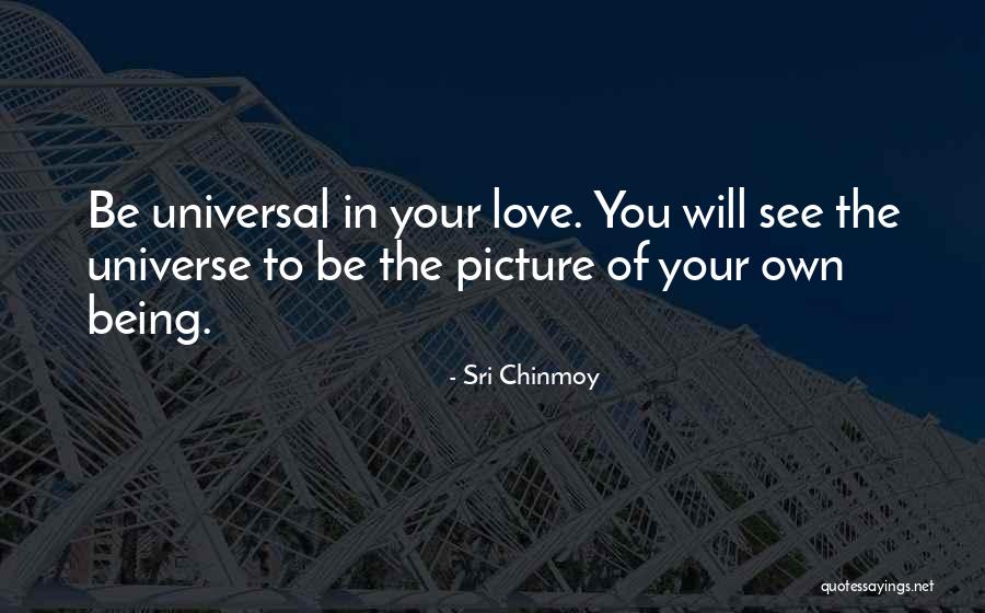 Being The Universe Quotes By Sri Chinmoy