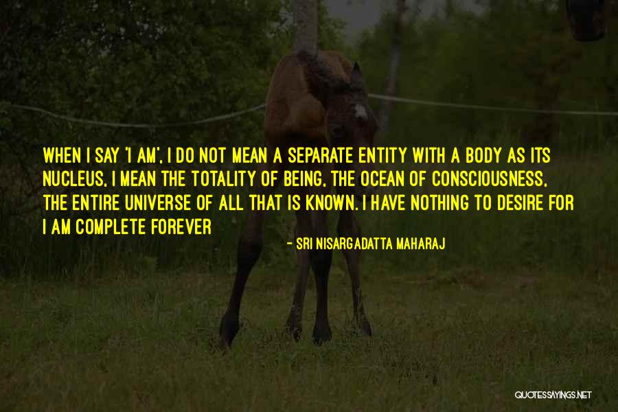 Being The Universe Quotes By Sri Nisargadatta Maharaj