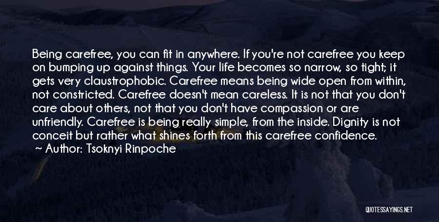 Being There For Someone Who Doesn't Care Quotes By Tsoknyi Rinpoche