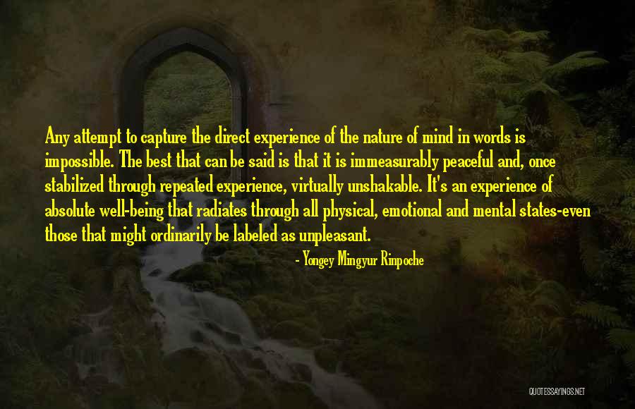 Being Through It All Quotes By Yongey Mingyur Rinpoche