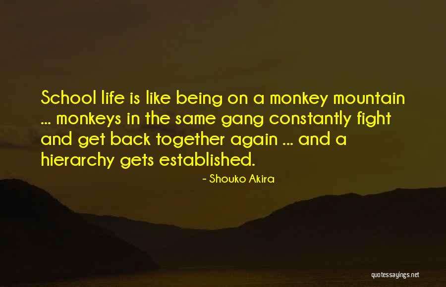 Being Together Again Quotes By Shouko Akira Being Together Again Quotes By Shouko Akira