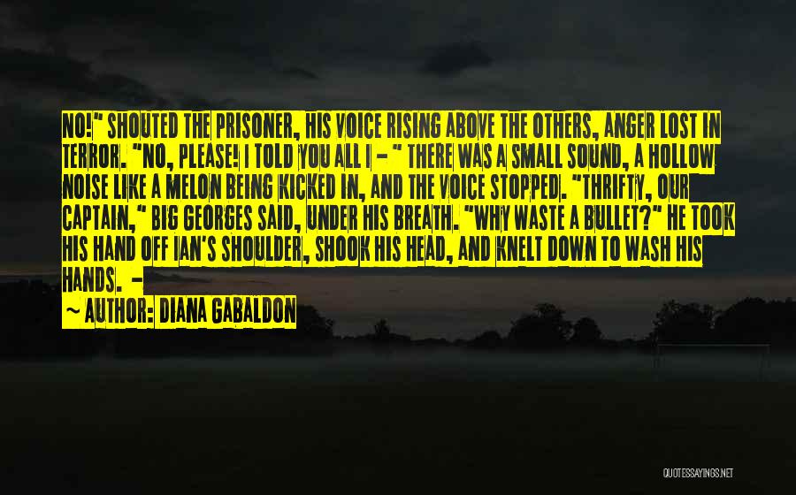 Being Told Off Quotes By Diana Gabaldon