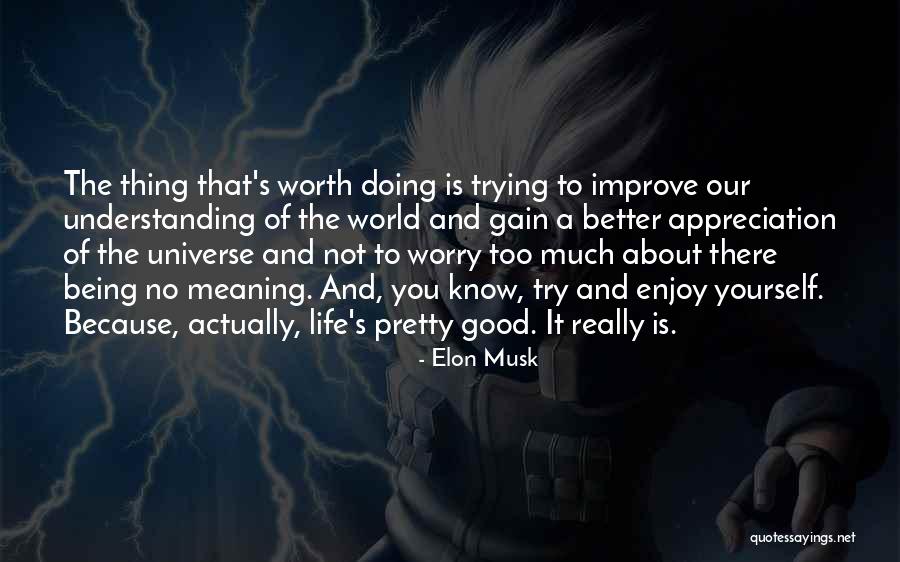 Being Too Understanding Quotes By Elon Musk