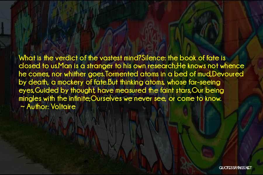 Being Tormented Quotes By Voltaire