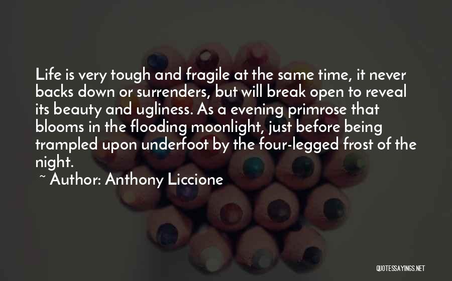 Being Trampled On Quotes By Anthony Liccione