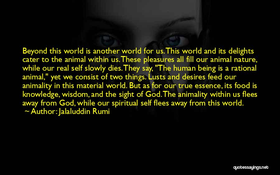 Being True To Self Quotes By Jalaluddin Rumi