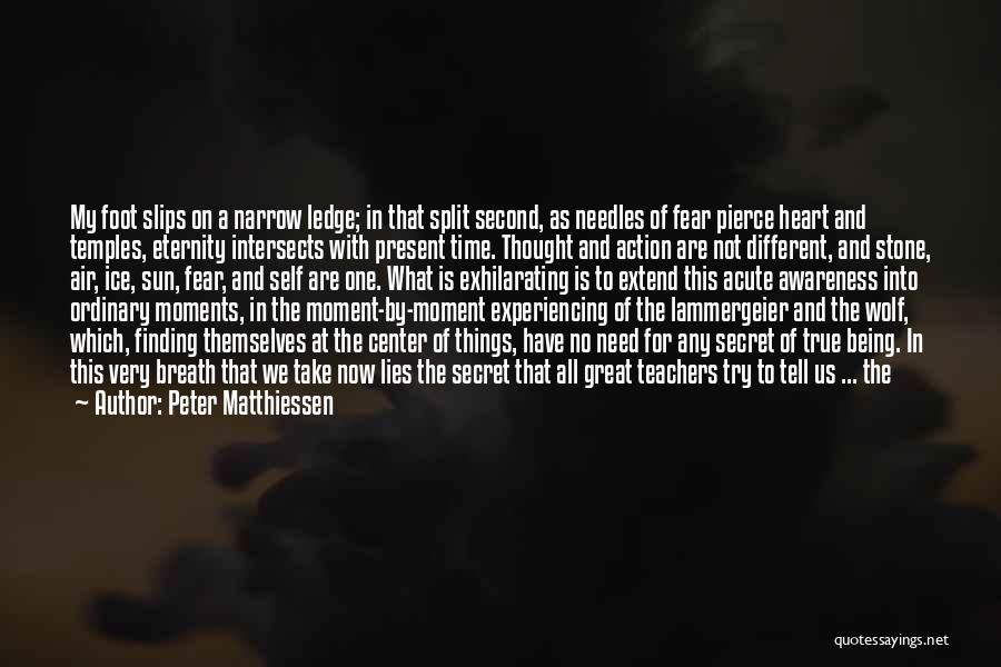 Being True To Self Quotes By Peter Matthiessen