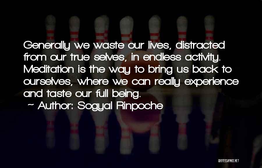 Being True To Self Quotes By Sogyal Rinpoche