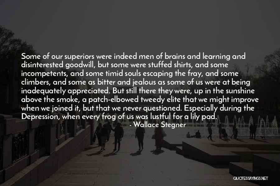 Being Under Appreciated Quotes By Wallace Stegner Being Under Appreciated Quotes By Wallace Stegner