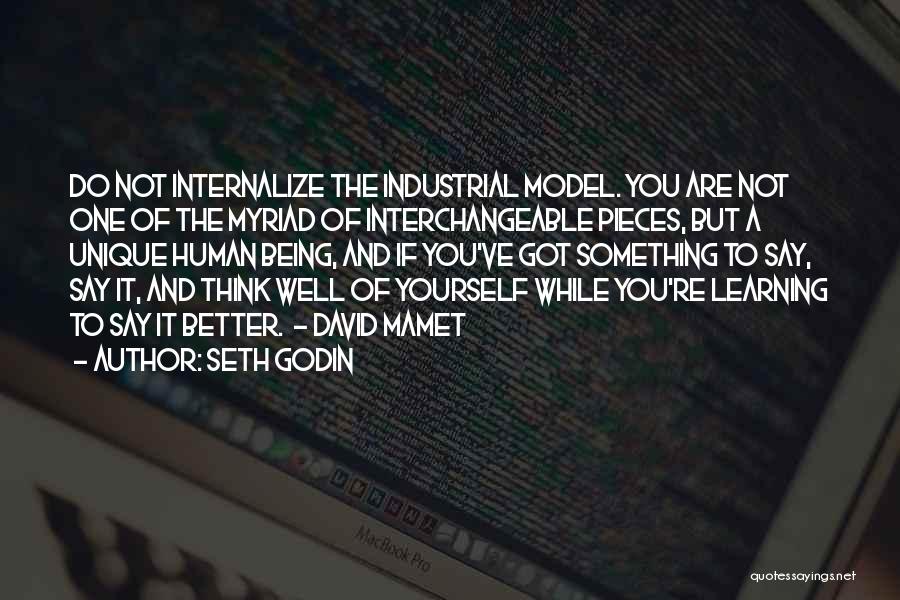 Being Unique And Yourself Quotes By Seth Godin