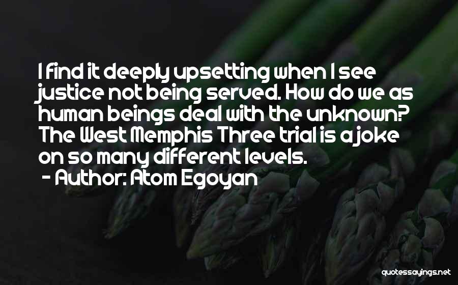 Being Upset Quotes By Atom Egoyan