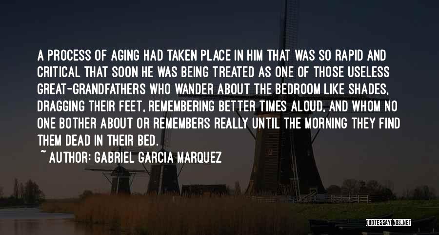 Being Useless Quotes By Gabriel Garcia Marquez