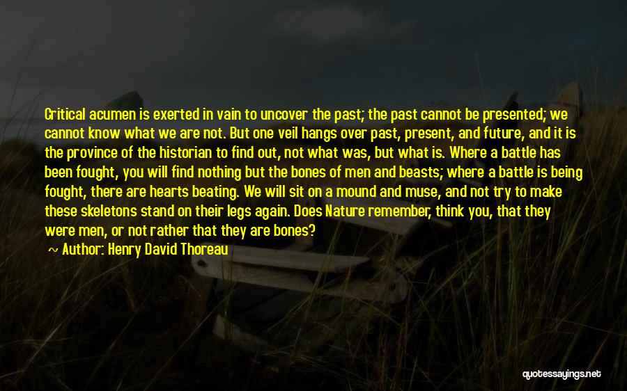 Being Vain Quotes By Henry David Thoreau