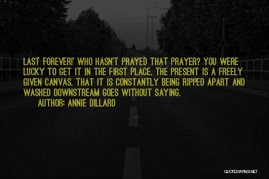 Being Washed Up Quotes By Annie Dillard