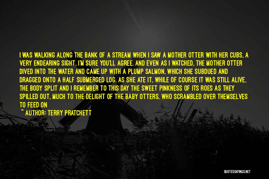 Being Watched Quotes By Terry Pratchett
