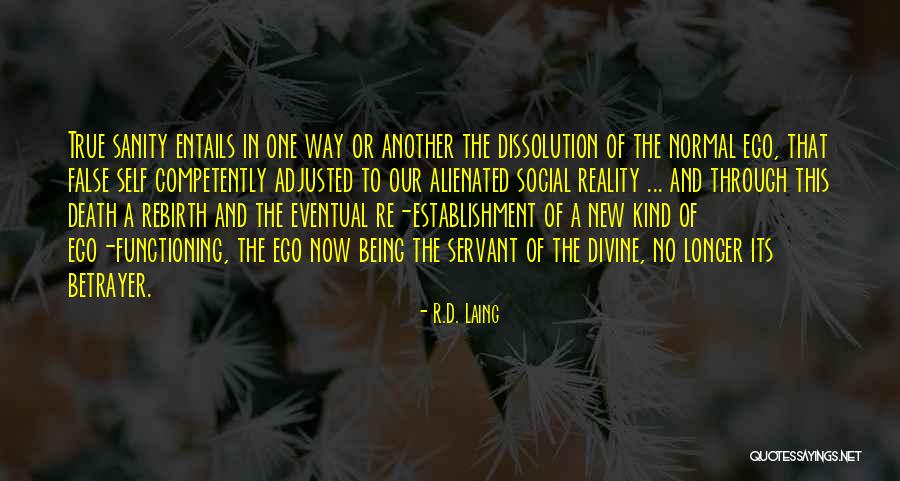 Being Well Adjusted Quotes By R.D. Laing