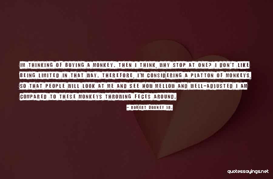 Being Well Adjusted Quotes By Robert Downey Jr. Being Well Adjusted Quotes By Robert Downey Jr.
