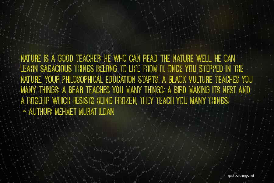 Being Well Read Quotes By Mehmet Murat Ildan