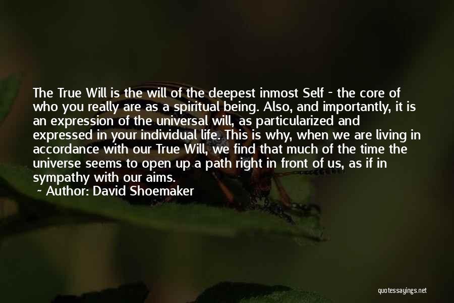 Being Who You Really Are Quotes By David Shoemaker