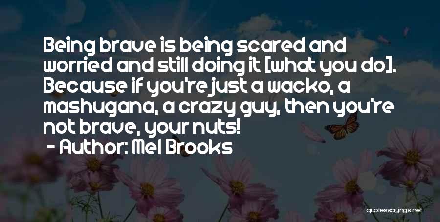 Being Worried And Scared Quotes By Mel Brooks