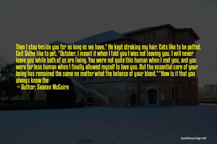 Being Wrapped Up Quotes By Seanan McGuire
