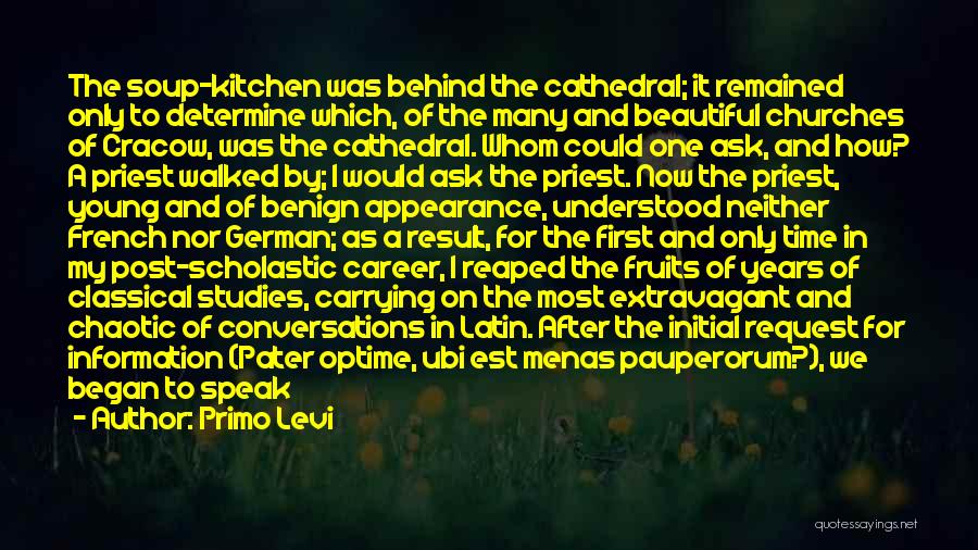 Being Young And Beautiful Quotes By Primo Levi