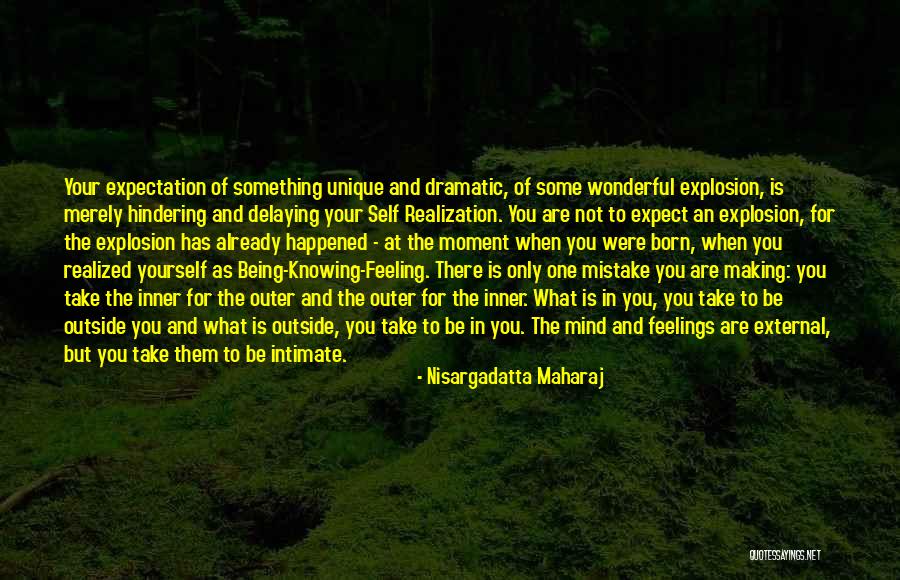 Being Your One And Only Quotes By Nisargadatta Maharaj